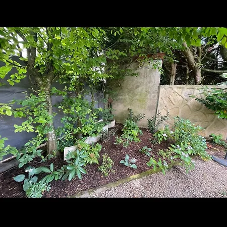 T5 Avec Jacuzzi Proche Centre Darcy Villa