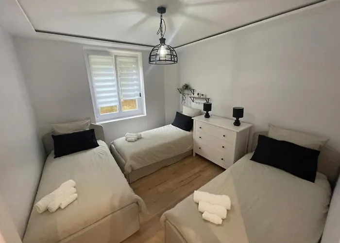 T5 Avec Jacuzzi Proche Centre Darcy Villa *